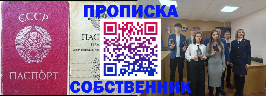 временная регистрация поиск в Приозерске